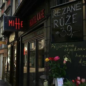 老外男人与雌性宠物交视频
